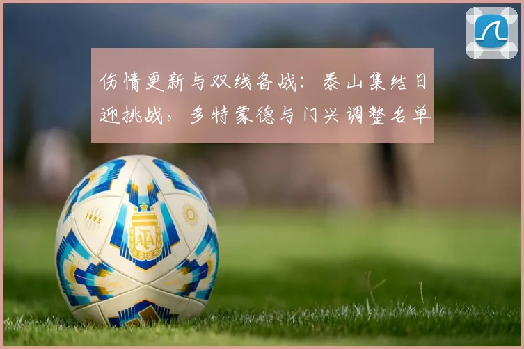 伤情更新与双线备战：泰山集结日迎挑战，多特蒙德与门兴调整名单